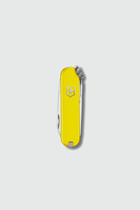 Classic Colours Collection Pocket Knife - Sunny Side
