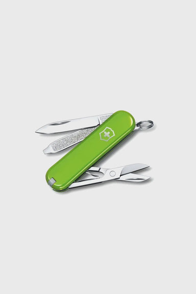 Classic Colours Collection Pocket Knife - Smashed Avocado