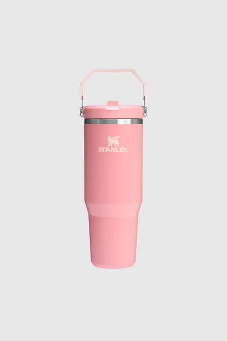 Iceflow Flip Straw Tumbler 885ml/30oz - Pink Mesa