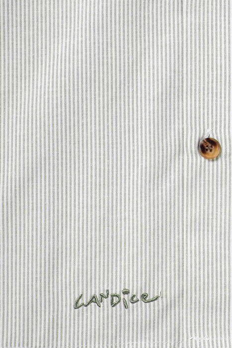 Entree Oxford SS Shirt - Green