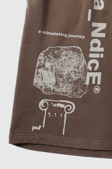 Journey Shorts - Brown