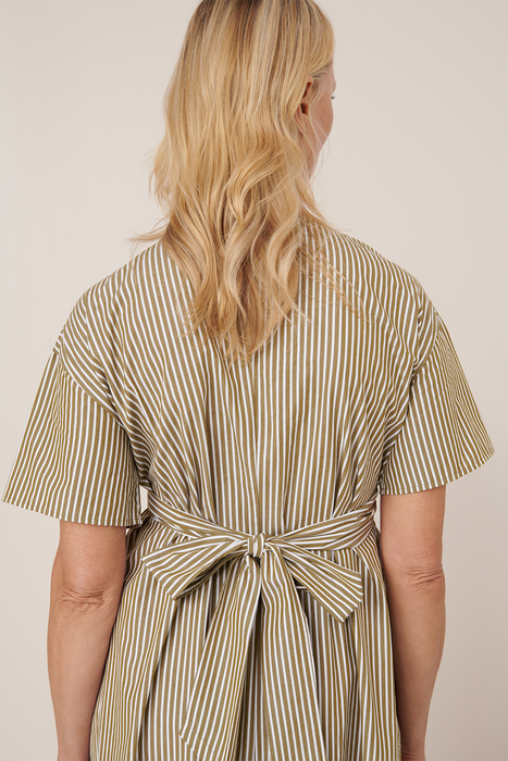 Composer Dress - Treetop Stripe