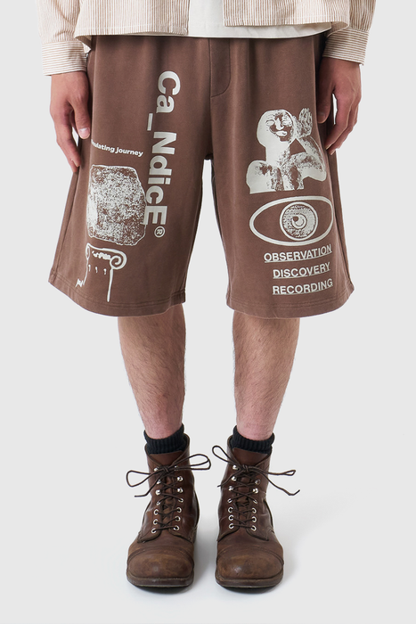 Journey Shorts - Brown