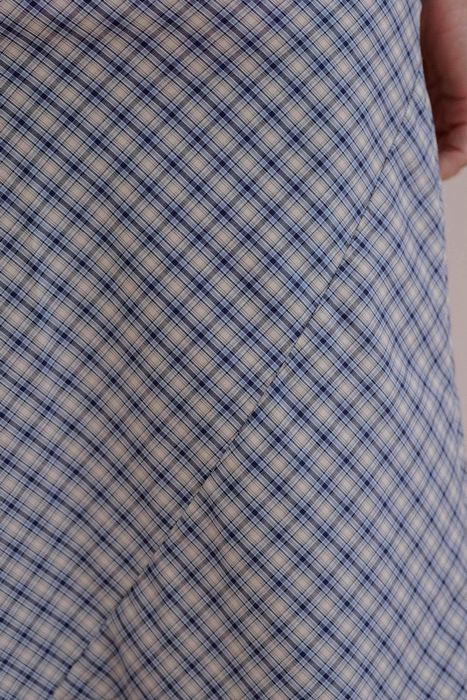 Larva Dress - Blue Check