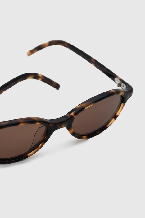 Alien - Tortoise / Brown