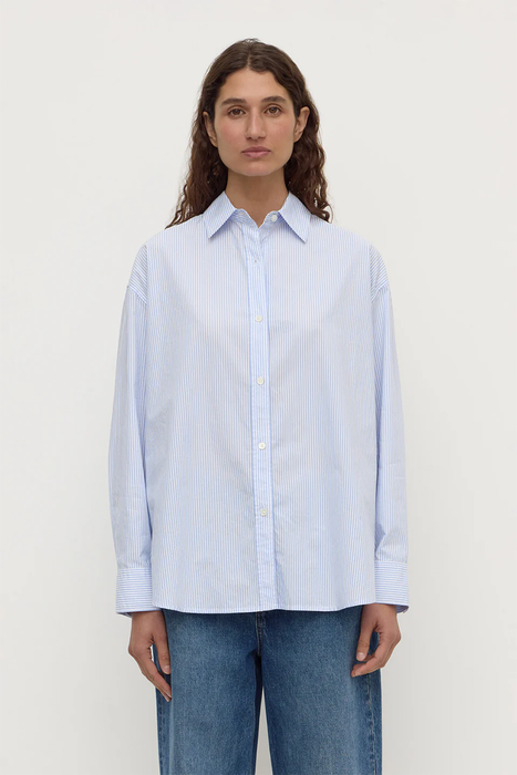 Avoca Stripe Long Sleeve Shirt - Blue / White Stripe