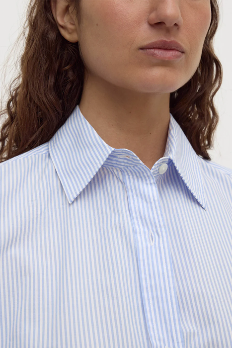 Avoca Stripe Long Sleeve Shirt - Blue / White Stripe