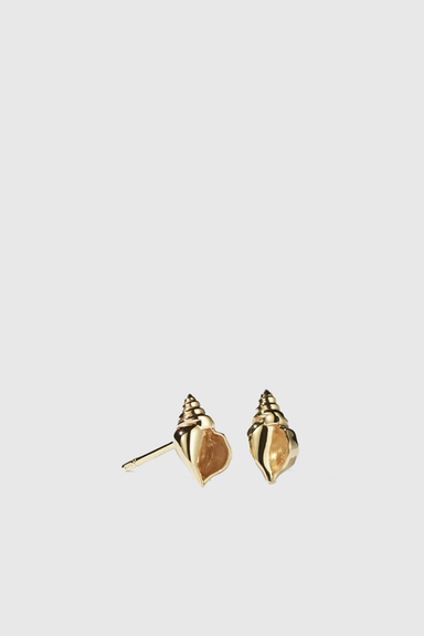 Conch Stud Earrings - Gold plated