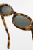 Daisy - Tortoise / Green