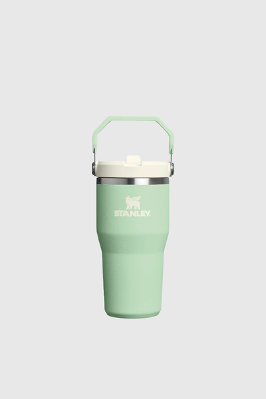 Iceflow Flip Straw 2.0 Tumbler 591ml / 20oz - Pistachio