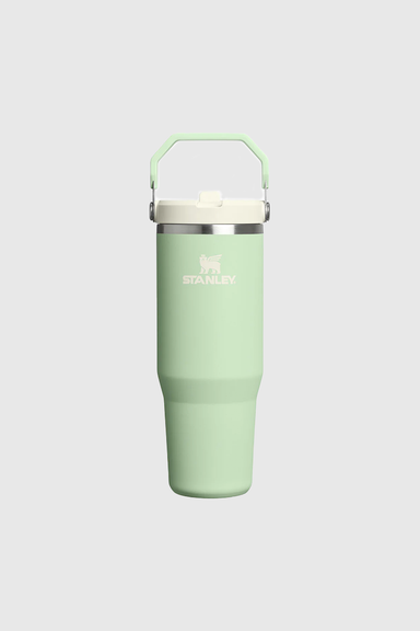 Iceflow Flip Straw 2.0 Tumbler 885ml/30oz - Pistachio