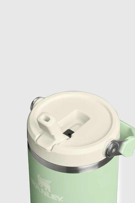 Iceflow Flip Straw 2.0 Tumbler 885ml/30oz - Pistachio