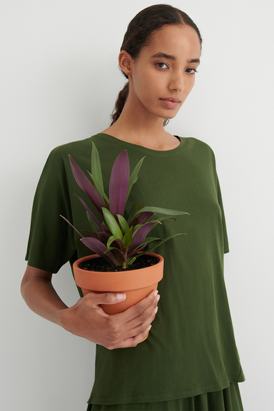 Loose Tee - Sycamore