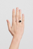 Protea Ring Large - Sterling Silver / Onyx