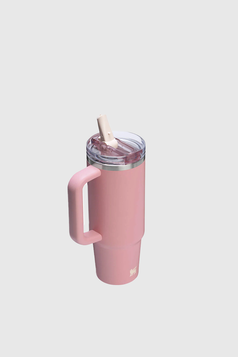 Quencher ProTour Flip Straw Tumbler 885ml / 30oz - Pink Mesa