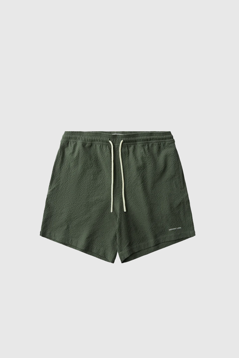 Seth Swim Short - Hollow
