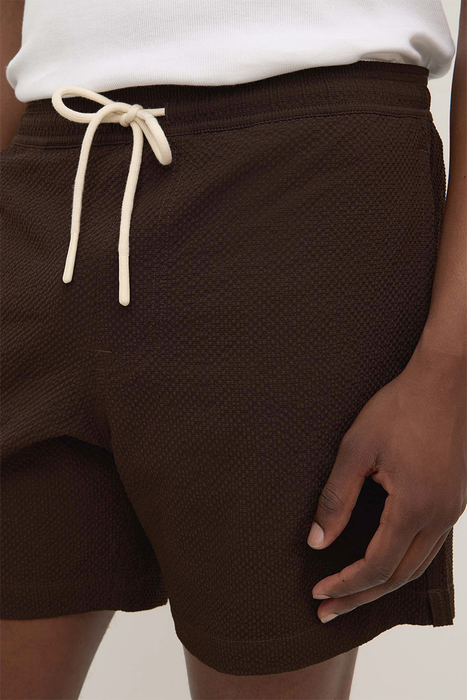 Seth Swim Short - Ganache