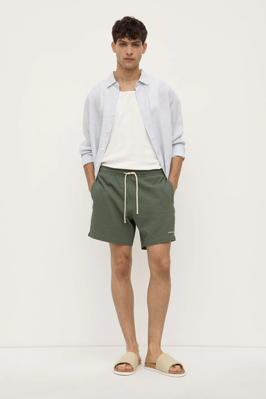 Seth Swim Short - Hollow