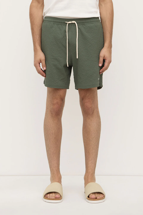 Seth Swim Short - Hollow