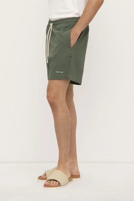 Seth Swim Short - Hollow