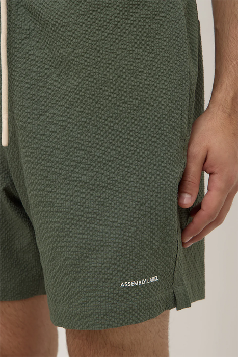 Seth Swim Short - Hollow