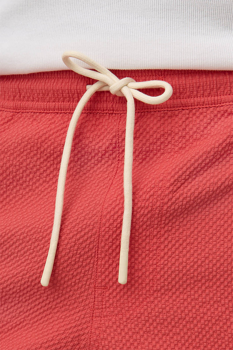 Seth Swim Short - Washed Chilli