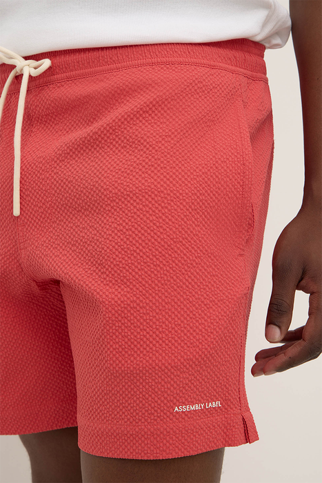 Seth Swim Short - Washed Chilli