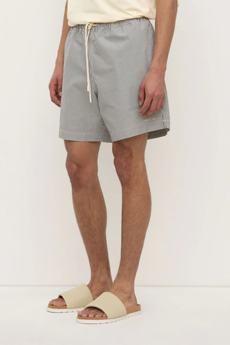 Ward Swim Short - Navy / White Stripe