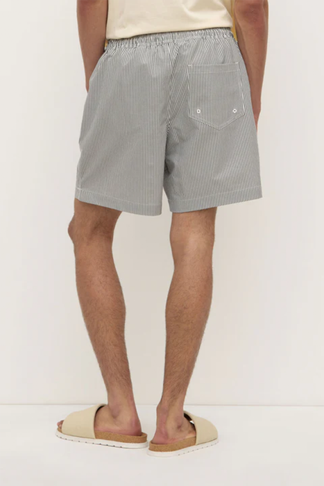 Ward Swim Short - Navy / White Stripe