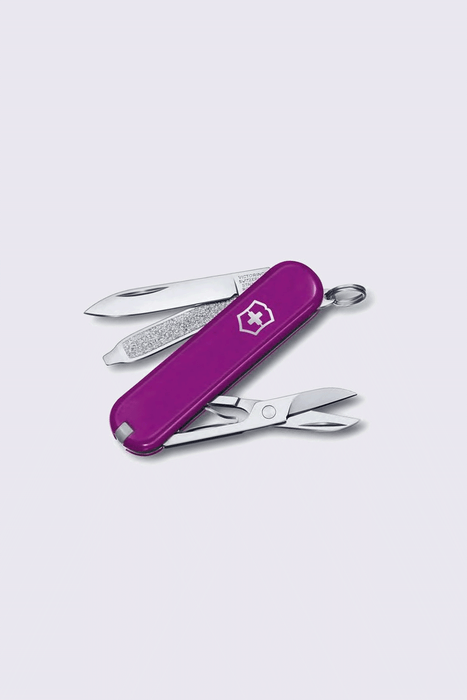 Classic Colours Collection Pocket Knife - Tasty Grape