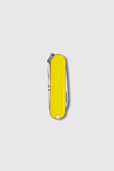 Classic Colours Collection Pocket Knife - Sunny Side