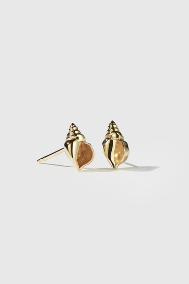 Conch Stud Earrings - Gold plated