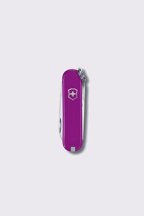 Classic Colours Collection Pocket Knife - Tasty Grape